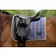 LeMieux Loire Classic Dressage Square - Jay Blue
