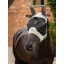 LeMieux Visor-Tek Half Fly Mask - Fern