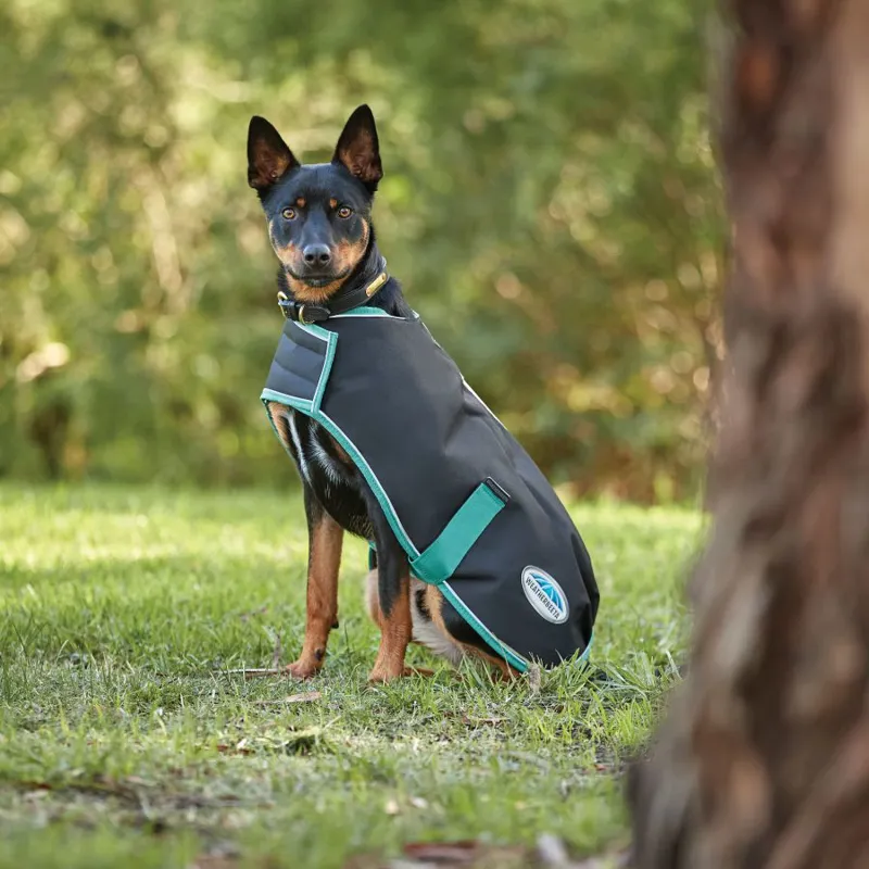 Weatherbeeta Green-Tec 900D Lite Plus Dog Coat - Black/Bottle Green-4