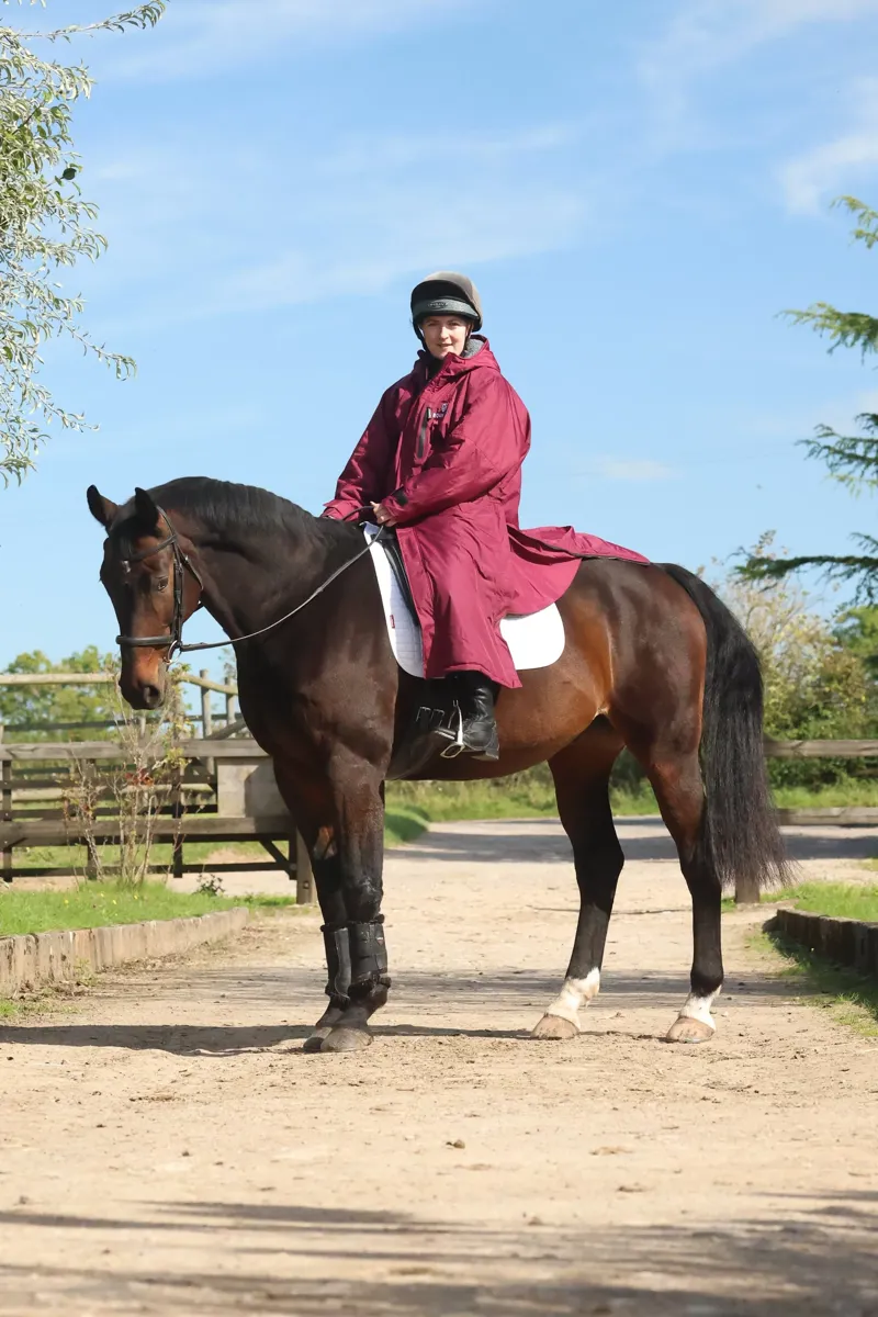 EQUIDRY Adult All Rounder Evolution- Plum/Charcoal-2