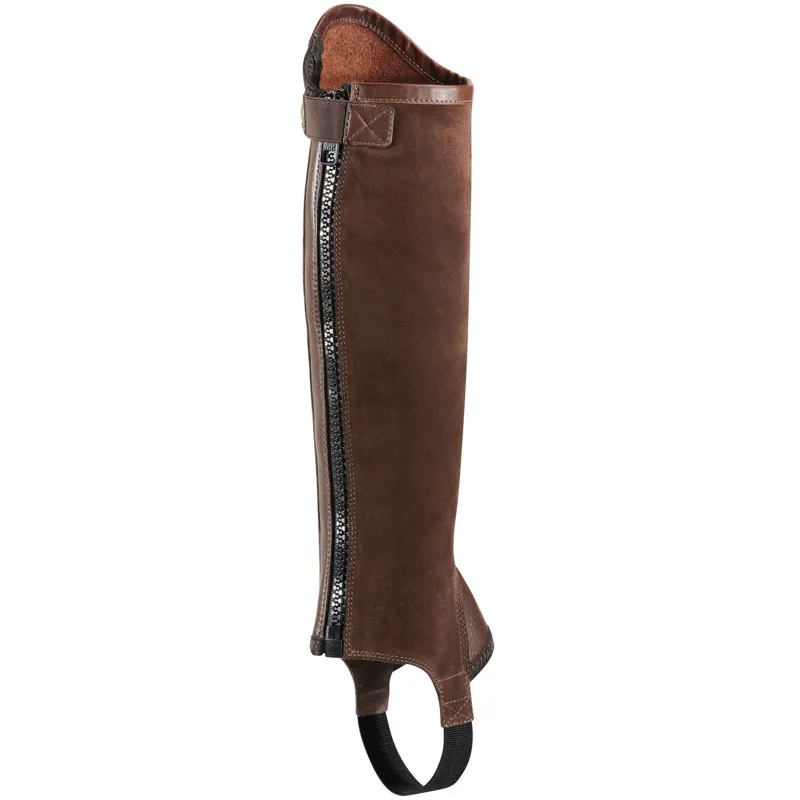 Ariat Concord Half-Chap - Brown-1