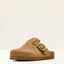 Ariat Ladies Country Mule - Caramel Suede