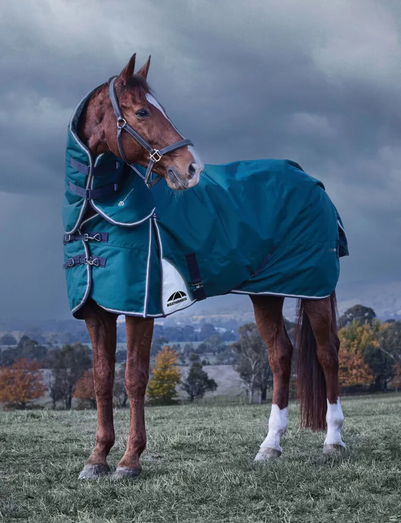Weatherbeeta ComFiTec Plus Dynamic Turnout Rug Detach-A-Neck 220G - 6'9-13
