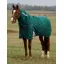 Weatherbeeta ComFiTec Plus Dynamic Turnout Rug Detach-A-Neck 220G - 6'0