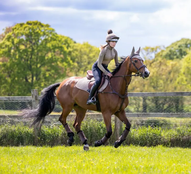 LeMieux Luxury Suede CC Square - Mink-1