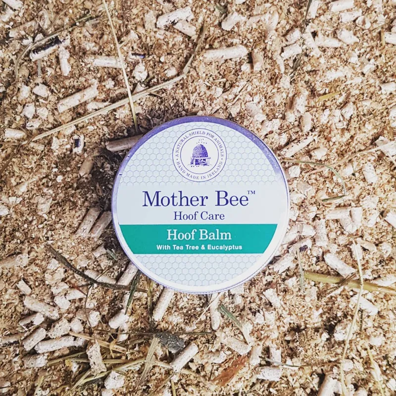 Mother Bee Hoof Balm - Tea Tree and Eucalyptus 150ml
