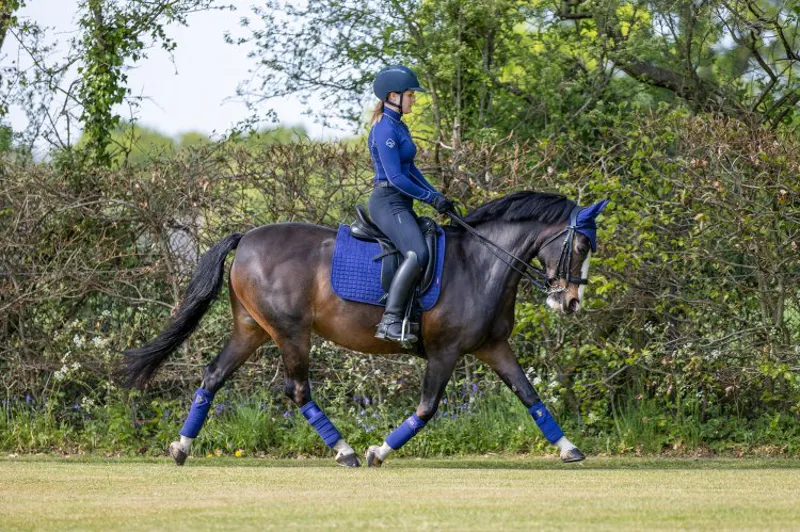 LeMieux ProSport Suede Dressage Square - Ink Blue-2
