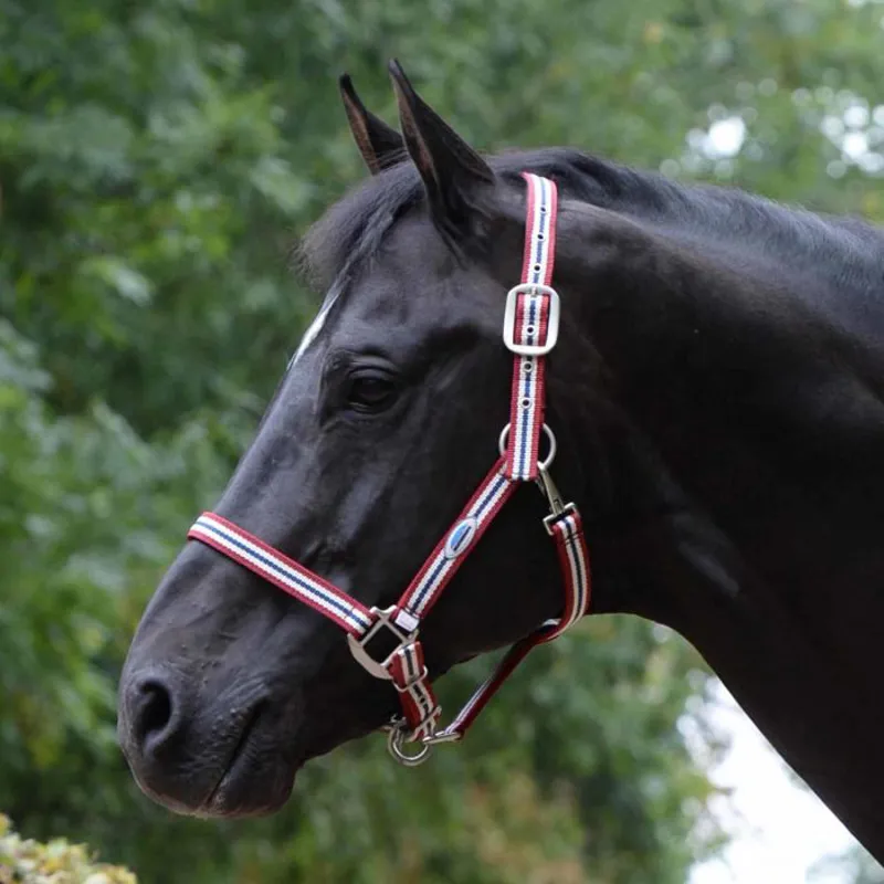 Weatherbeeta Coordinate Headcollar - Ruby Red