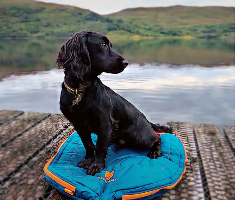 Bark And Ride Harris Dog Sleeping Bag - Large/Xlarge