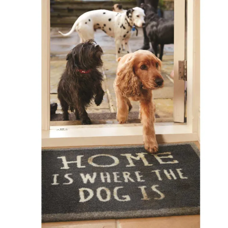 Howler and Scratch Mat - 50 x 75cm - Home