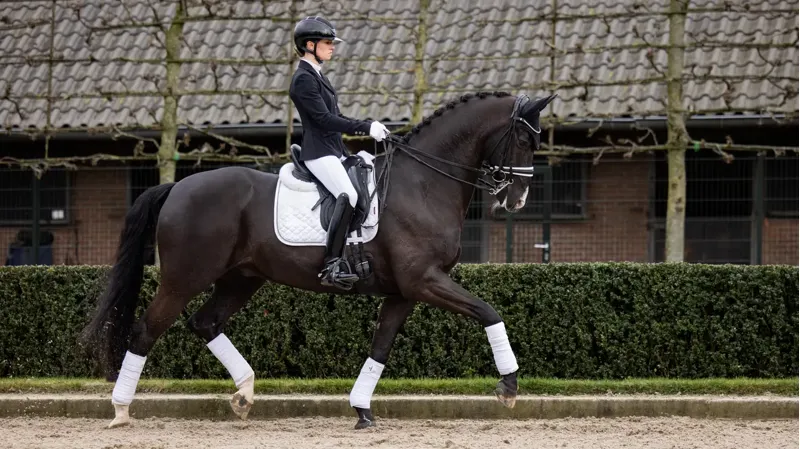 LeMieux Crystal Suede Dressage Square - White-1
