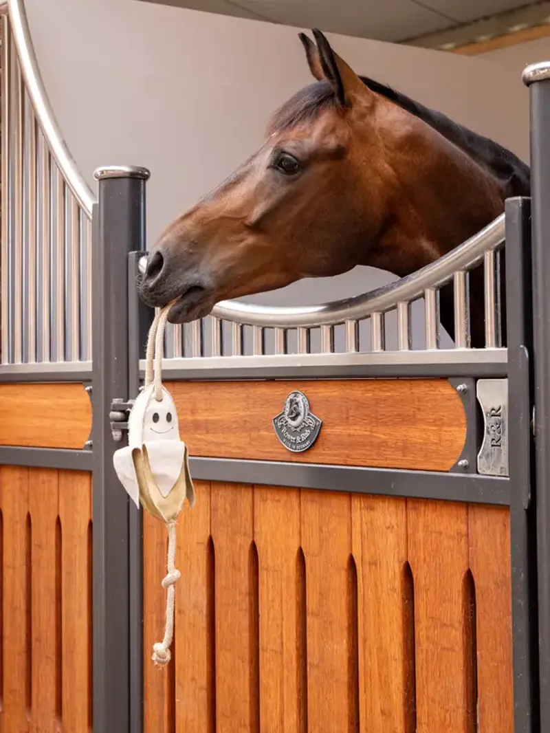 LeMieux Horse Toy - Banana-1