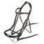 Shires Velociti Rapida Ergononic Curved Cavesson - Havana