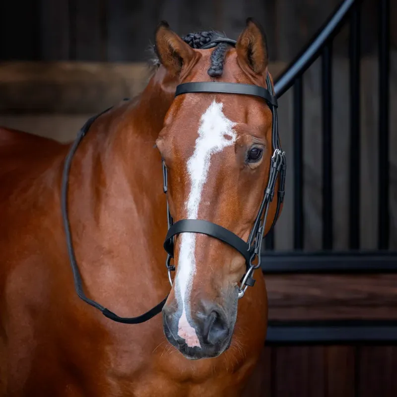 Shires Velociti Rapida Hunter Cavesson Bridle - Black-1