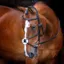Shires Velociti Rapida Grackle Bridle - Black