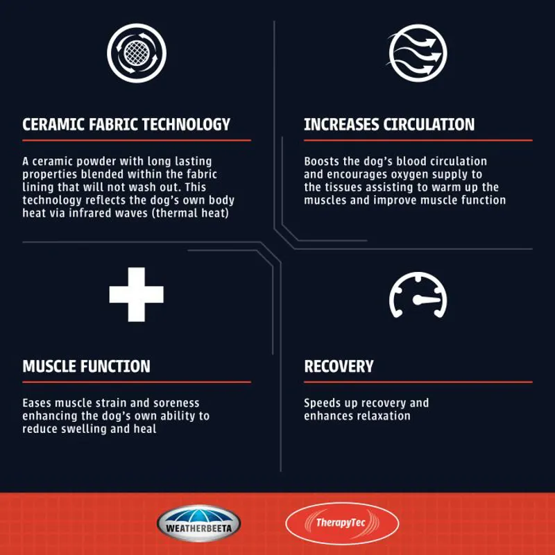 Weatherbeeta Therapy-Tec Dog Coat - Black/Silver/ Red-2