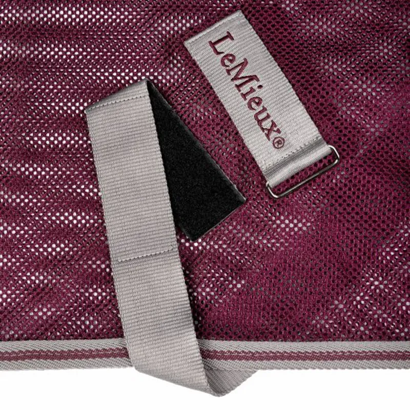 LeMieux Arika Air-Tek Sheet - Burgundy-3