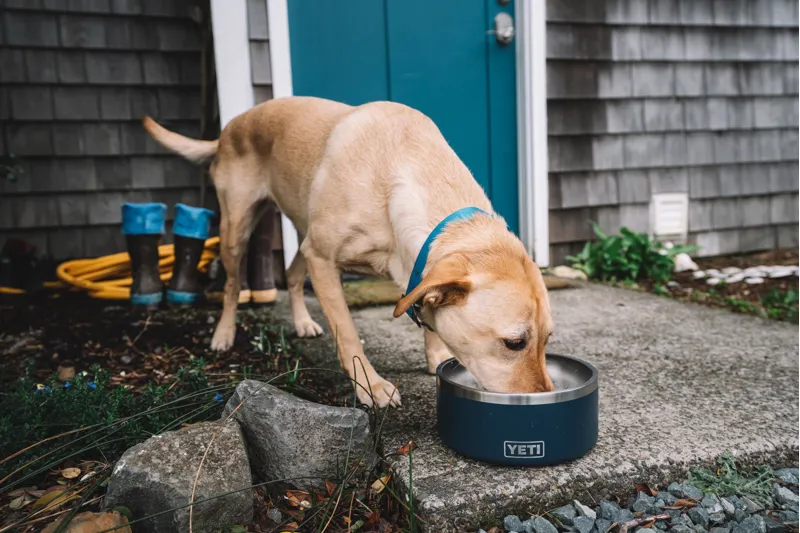 YETI Boomer 4 Dog Bowl - Seafoam-4