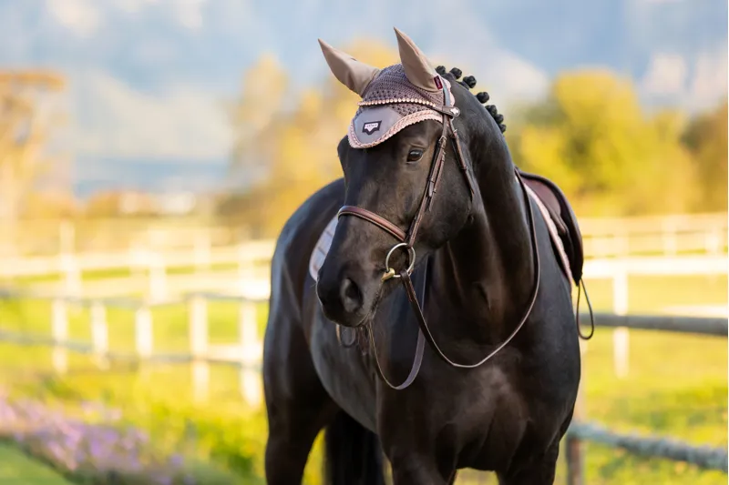 LeMieux Loire Satin Fly Hood - Truffle-3