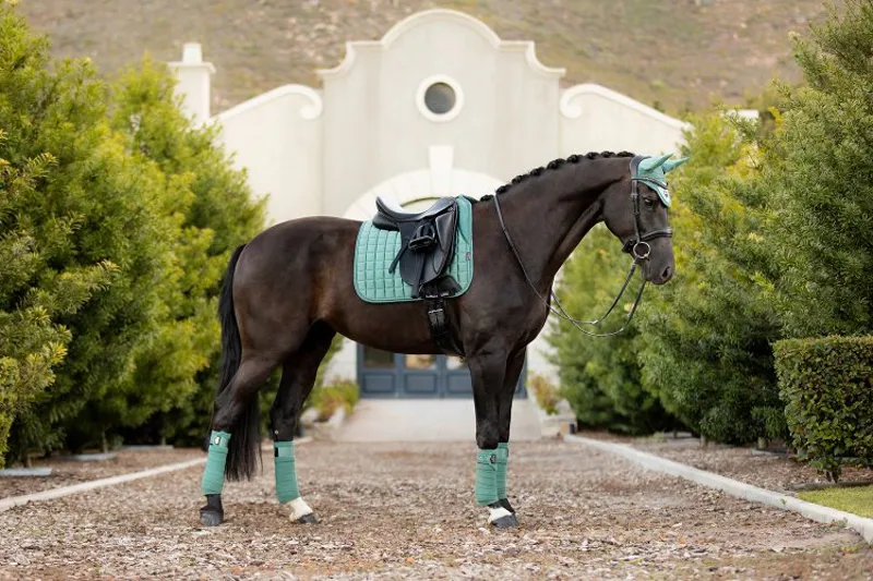 LeMieux Loire Satin Polo Bandages - Sage-1