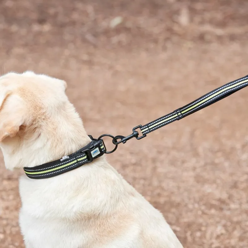 Weatherbeeta Reflective Dog Lead - Medium-3