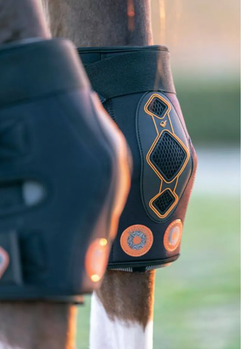 LeMieux Conductive Magnotherapy Hock Boot - Black-1