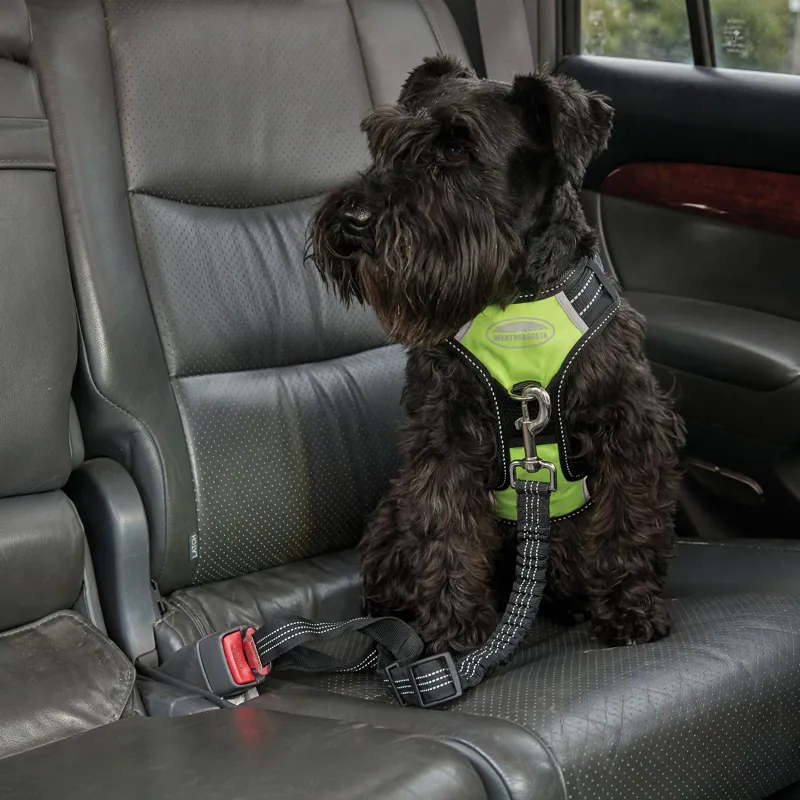 Weatherbeeta Anti Pull/ Travel Harness - Small-6