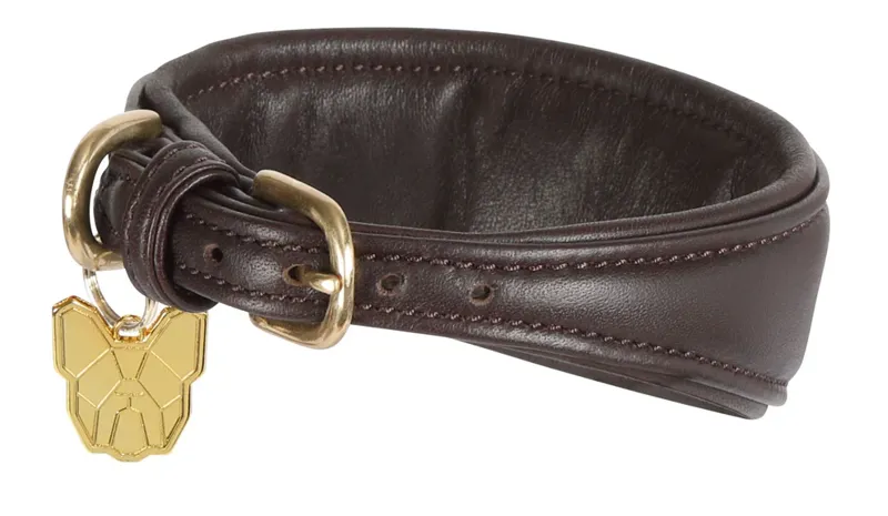 Digby and Fox Padded Leather Greyhound Collar - Medium