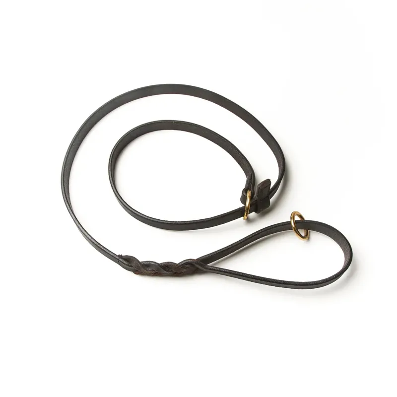 Shires Digby and Fox Braided Slip Dog Lead - Brown