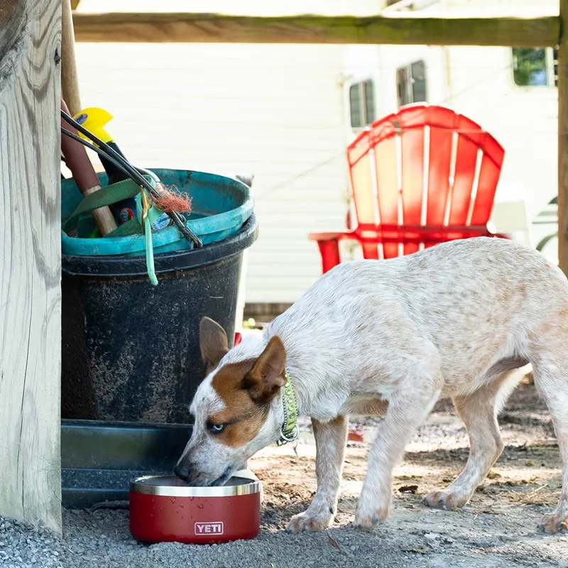 YETI Boomer 4 Dog Bowl - Seafoam-5