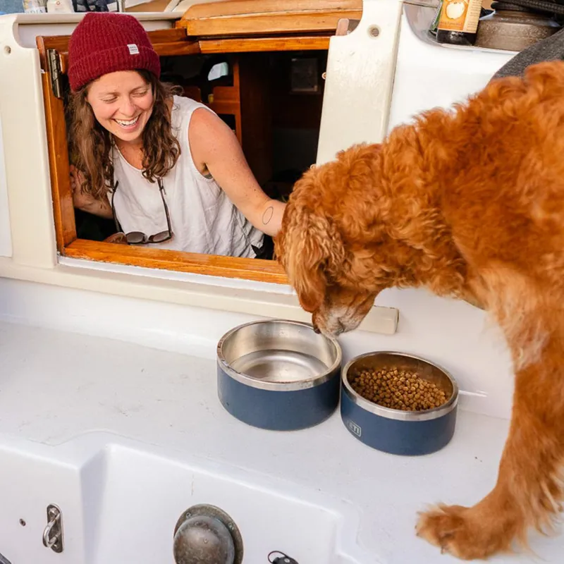 YETI Boomer 4 Dog Bowl - Seafoam-6
