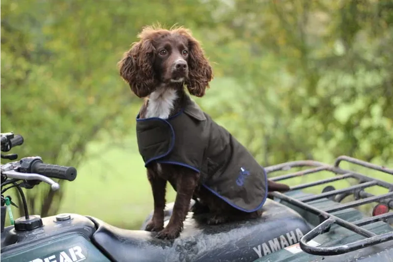 Sporting Saint Winslow Dog Coat - Waterproof 22inch-2