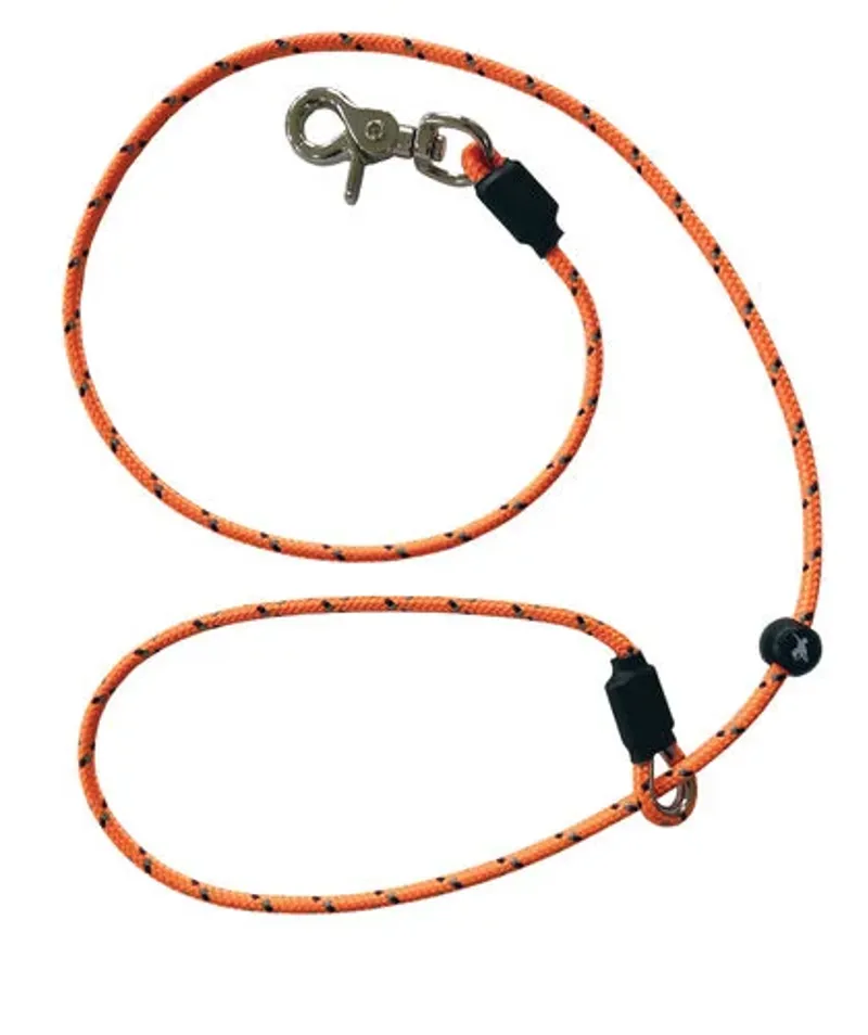 Sporting Saint Ft Pro Hands Free Lead - Orange