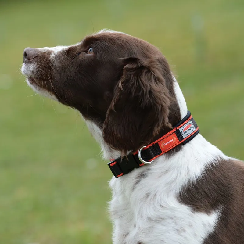 Weatherbeeta Therapy-Tec Dog Collar - X Large-1