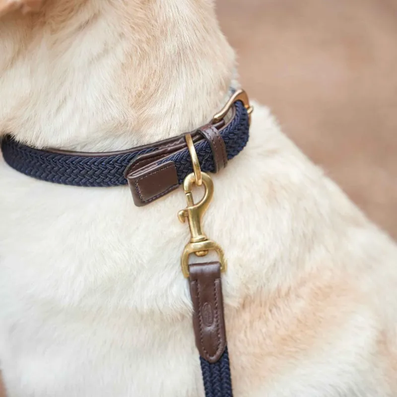 Weatherbeeta Leather Plaited Dog Lead - Medium-3