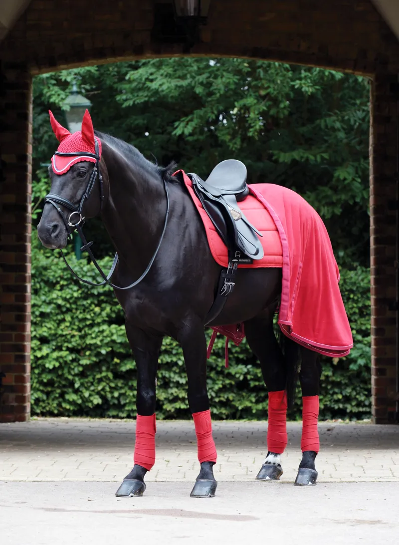 Weatherbeeta Coordinate Headcollar - Ruby Red-1
