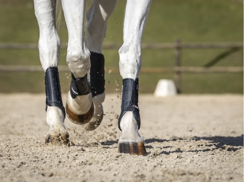 LeMieux Carbon Air XC Boots Black - Hind-6