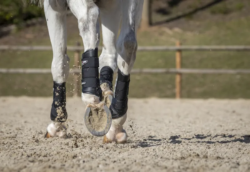 LeMieux Carbon Air XC Boots Black - Hind-7