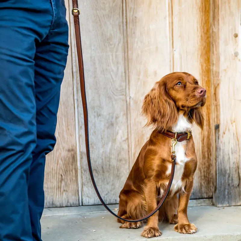 Hicks and Hide Stanway Field Collar - Cartridge Tip - Cognac-3