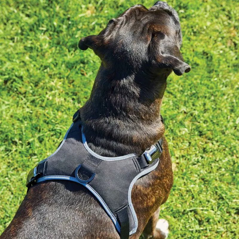 Weatherbeeta Elegance Dog Harness - Small/ Medium-4
