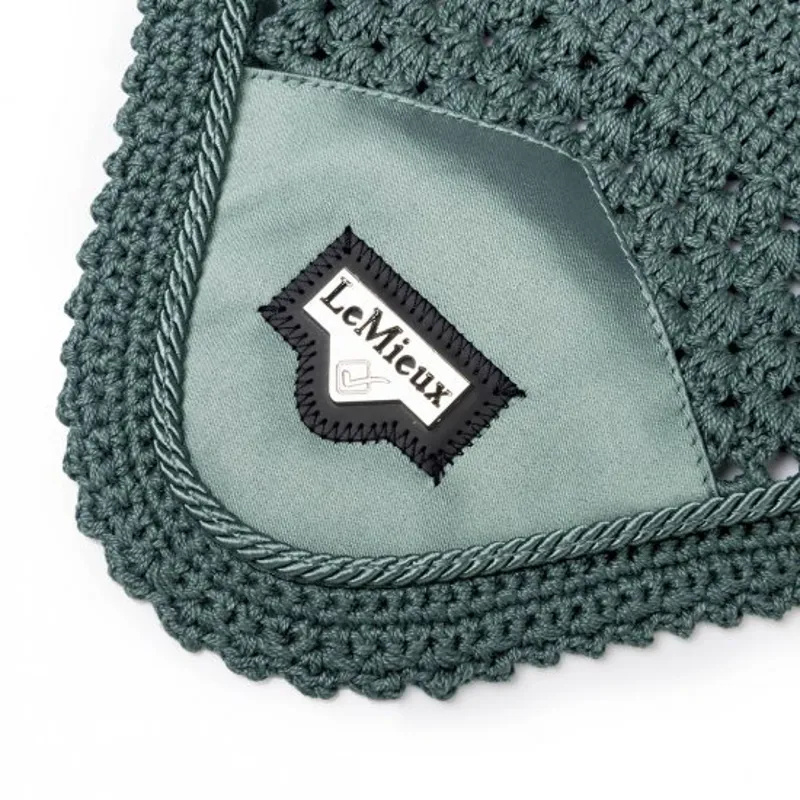 LeMieux Loire Satin Fly Hood - Sage-1