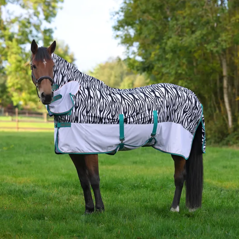 Shires Tempest Original Zeb-Tek Fly Combo - Zebra-5