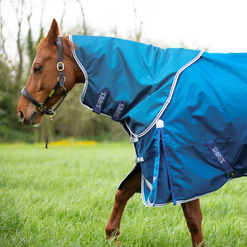 Shires Highlander Original 200g Turnout Rug and Neck Set - Blue-3