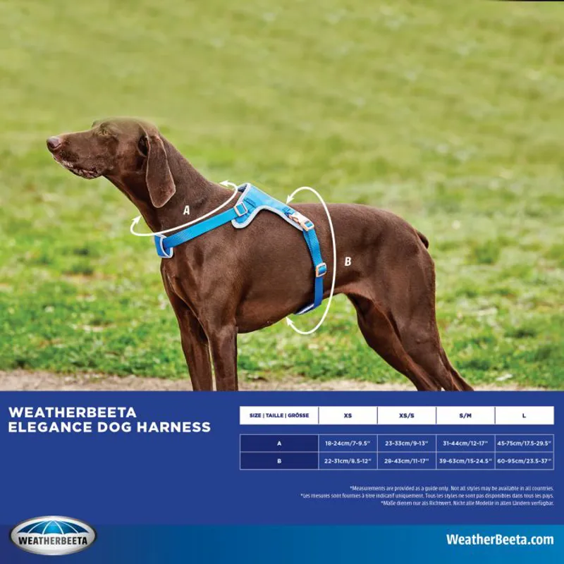 Weatherbeeta Elegance Dog Harness - Small/ Medium-6