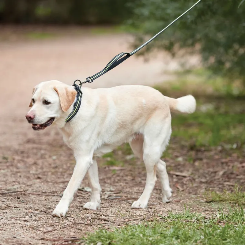 Weatherbeeta Reflective Dog Lead - Medium-2