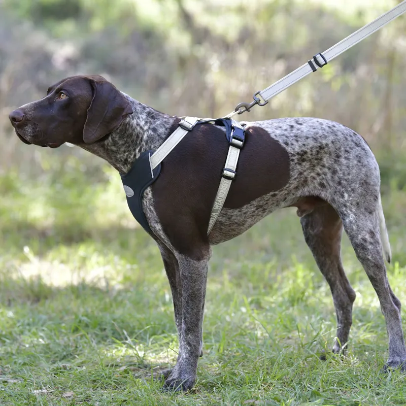 Weatherbeeta Explorer Dog Harness - Large-5