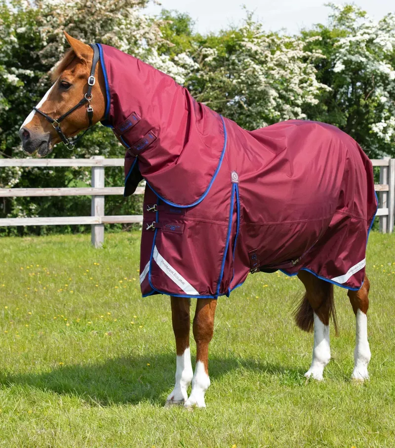 Premier Equine Buster 40g With Classic Neck - Burgundy-2