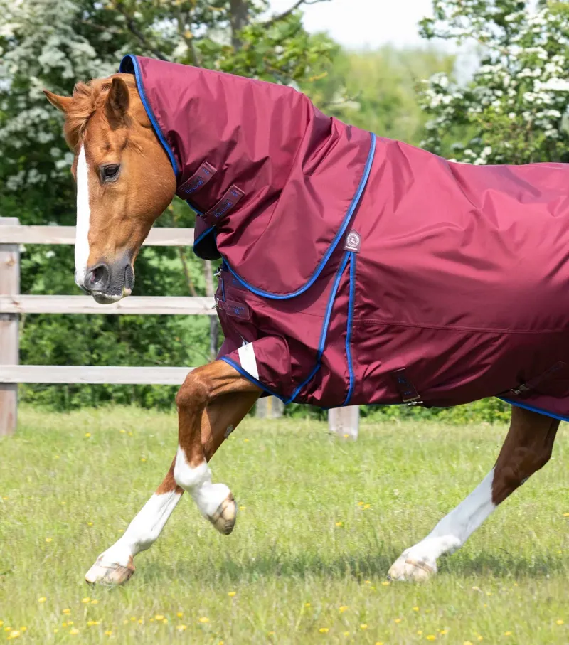 Premier Equine Buster 40g With Classic Neck - Burgundy-1