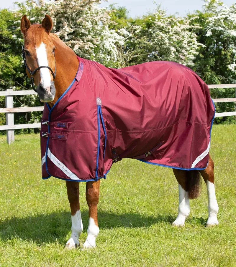 Premier Equine Buster 40g With Classic Neck - Burgundy