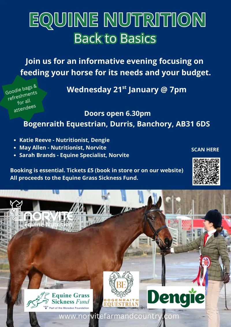 Equine Nutrition - Back to Basics